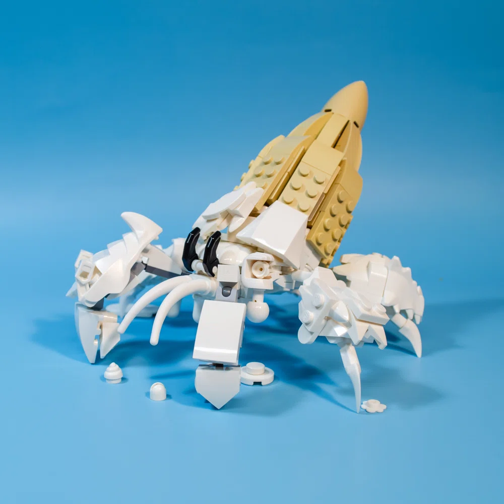 Ice Cream Cone Hermit Crab