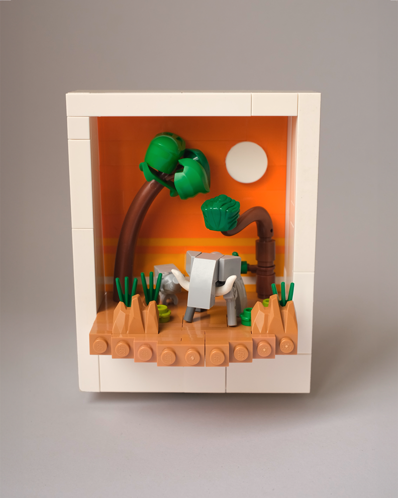 Safari