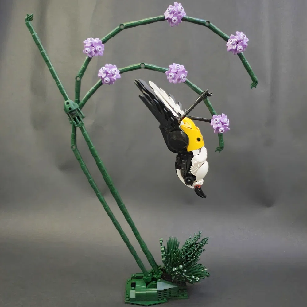 Ayanami, the bananaquit bird