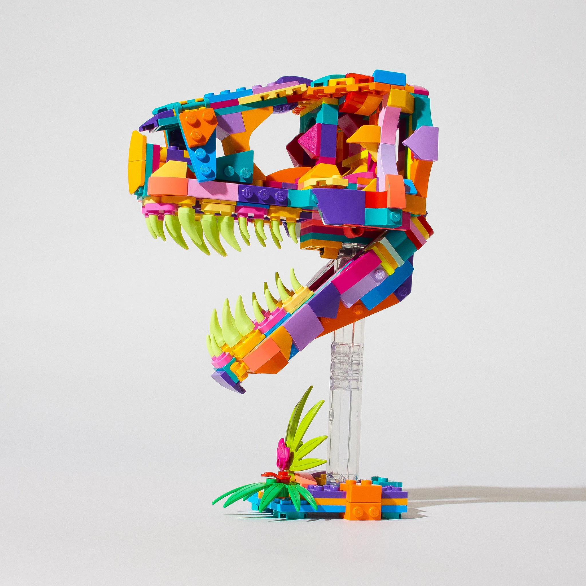 Verve – image 3