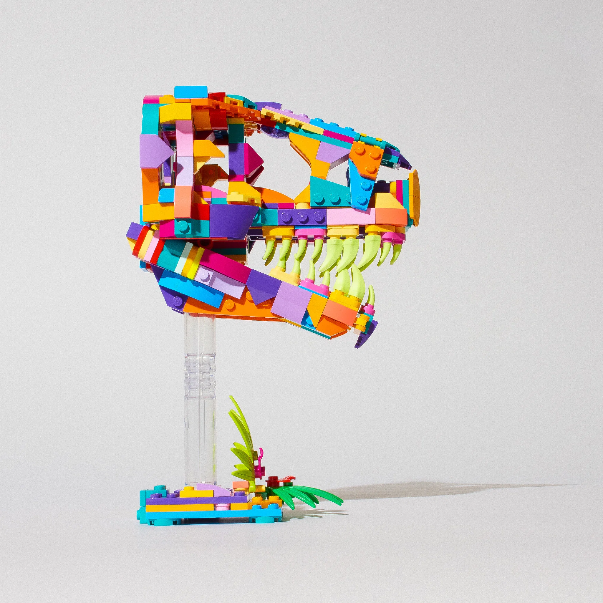 Verve – image 4