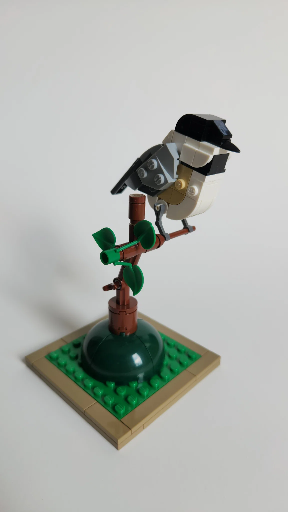 Black-Capped Chickadee – image 3