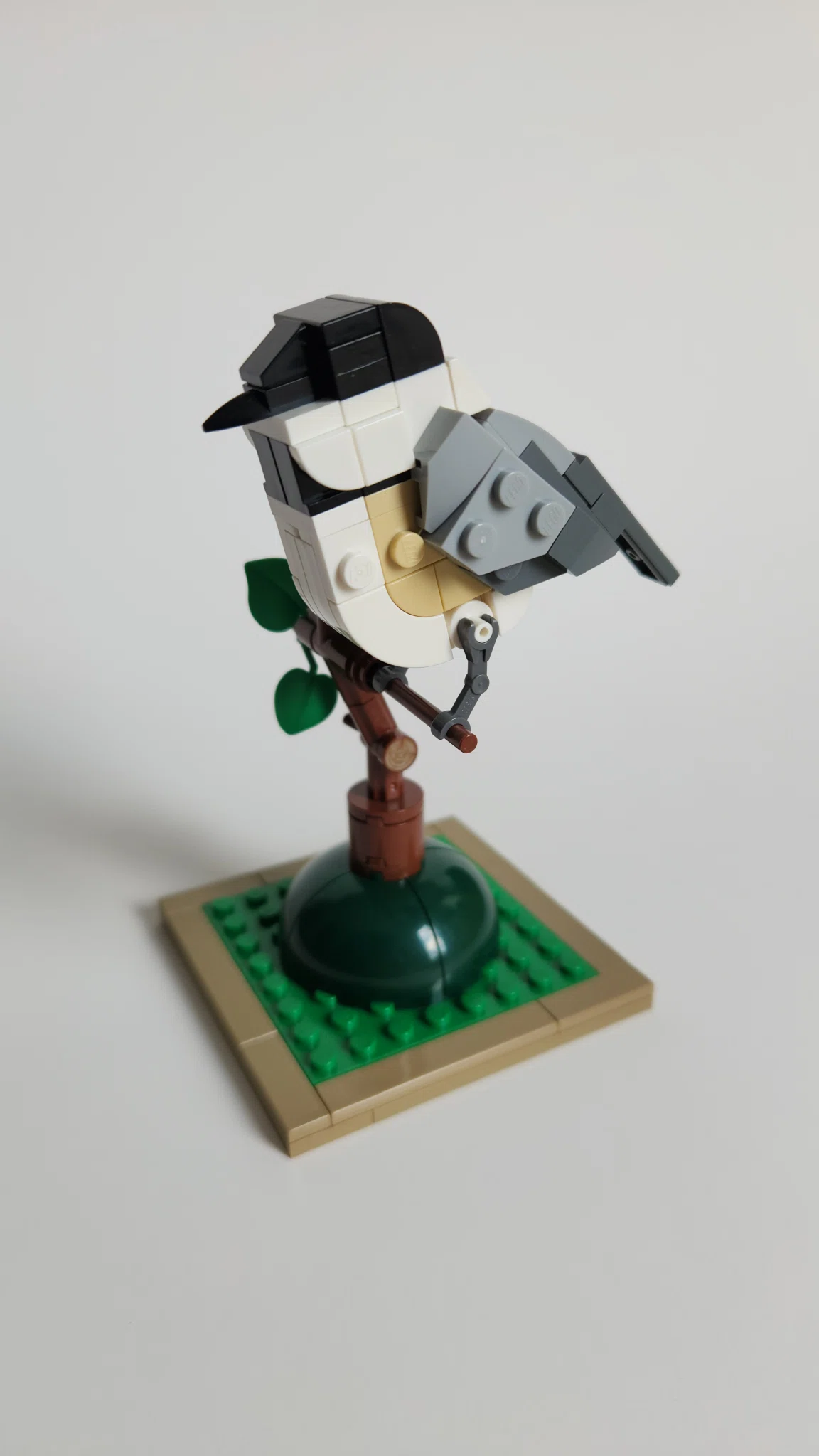 Black-Capped Chickadee by Matt (@mocsbymatt)