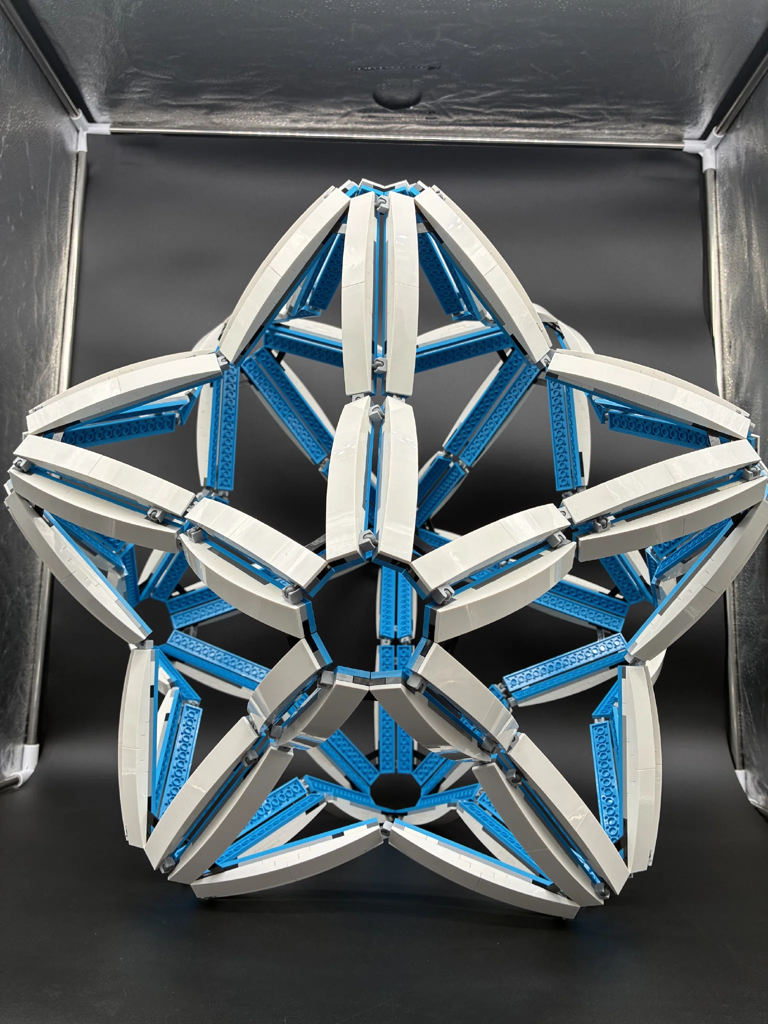 Stella – image 3