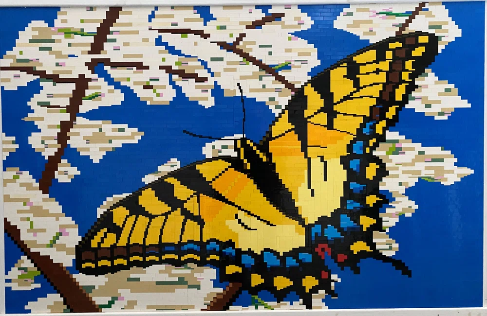 Eastern Tiger Swallowtail