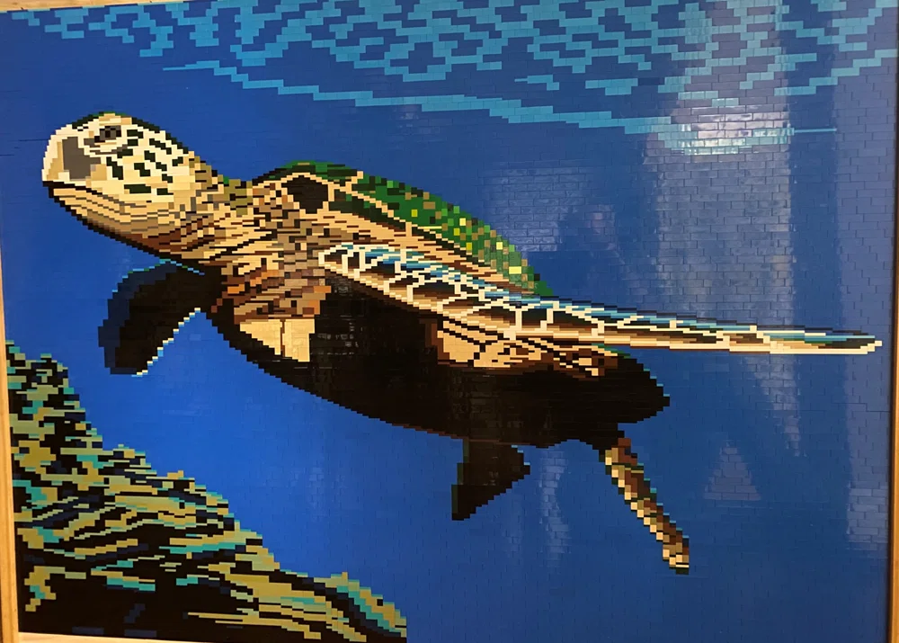 Sea Turtle