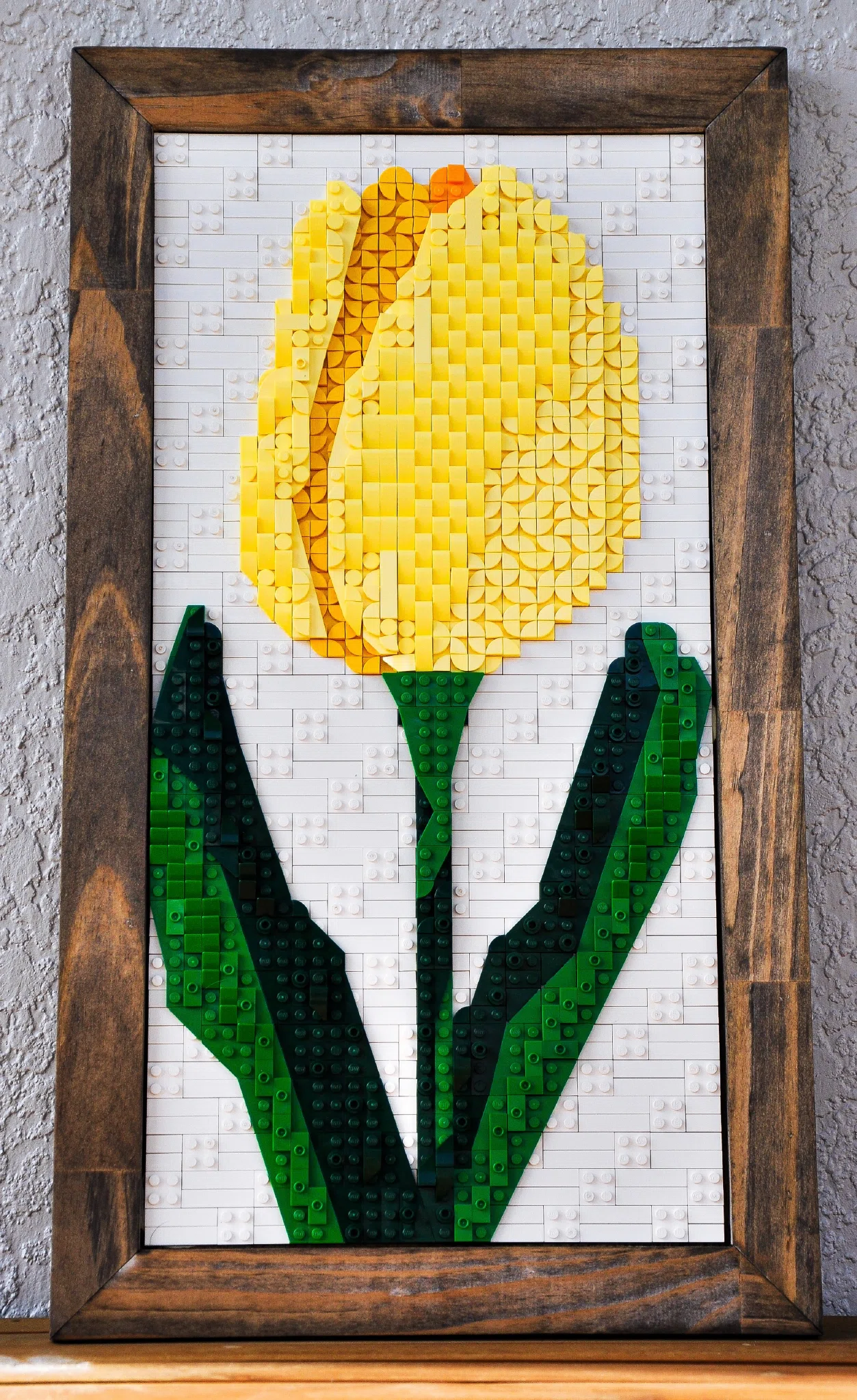 Tulip by myst33ry