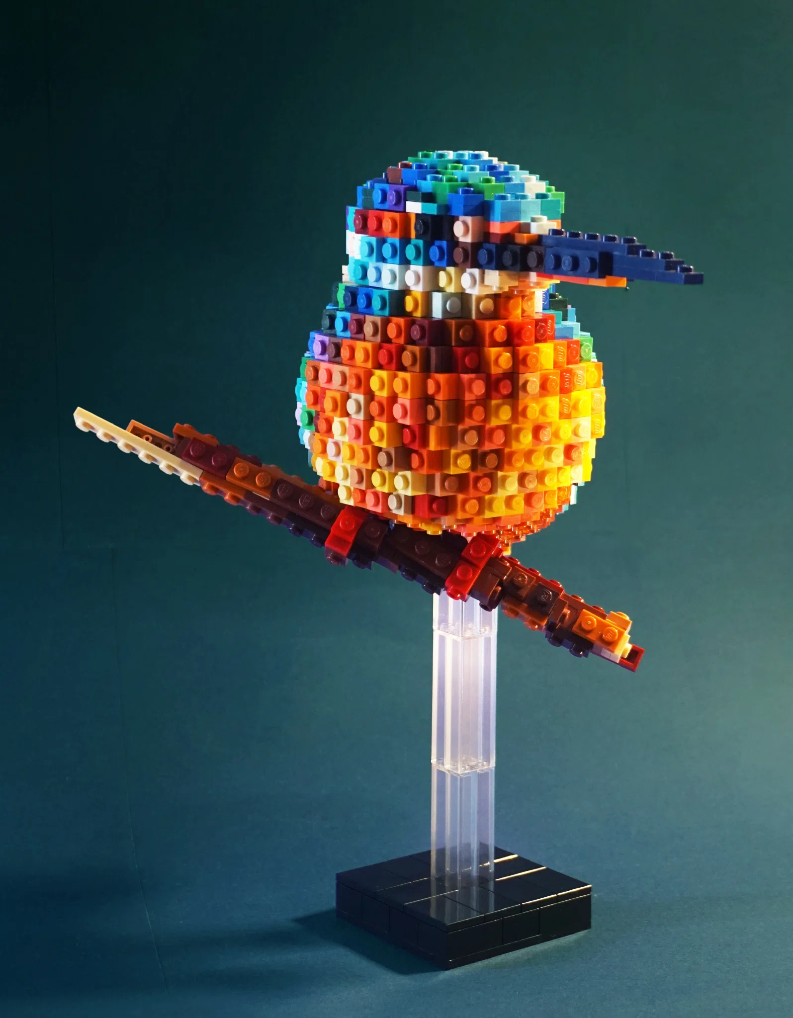 Kingfisher – image 2