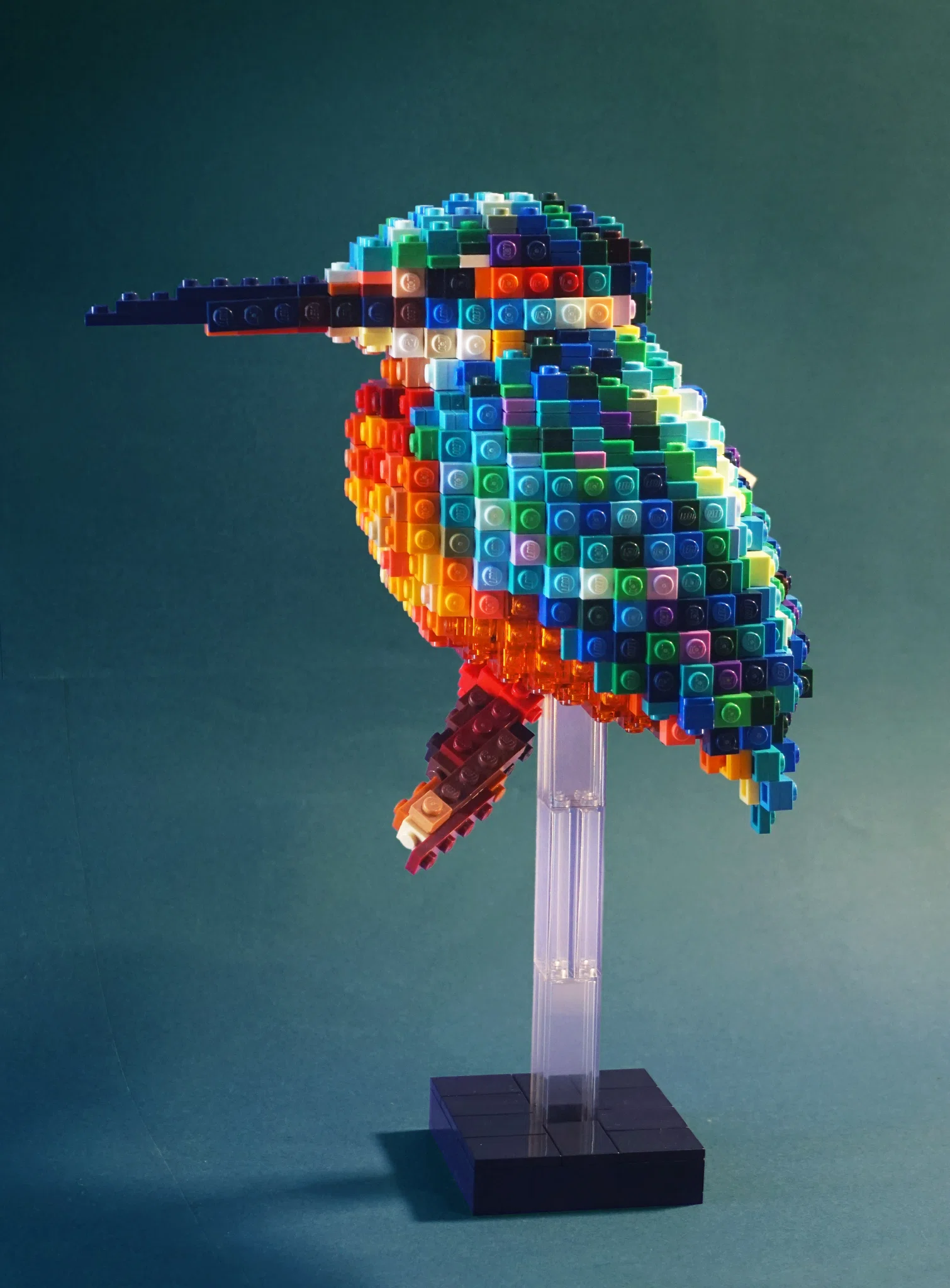Kingfisher – image 3