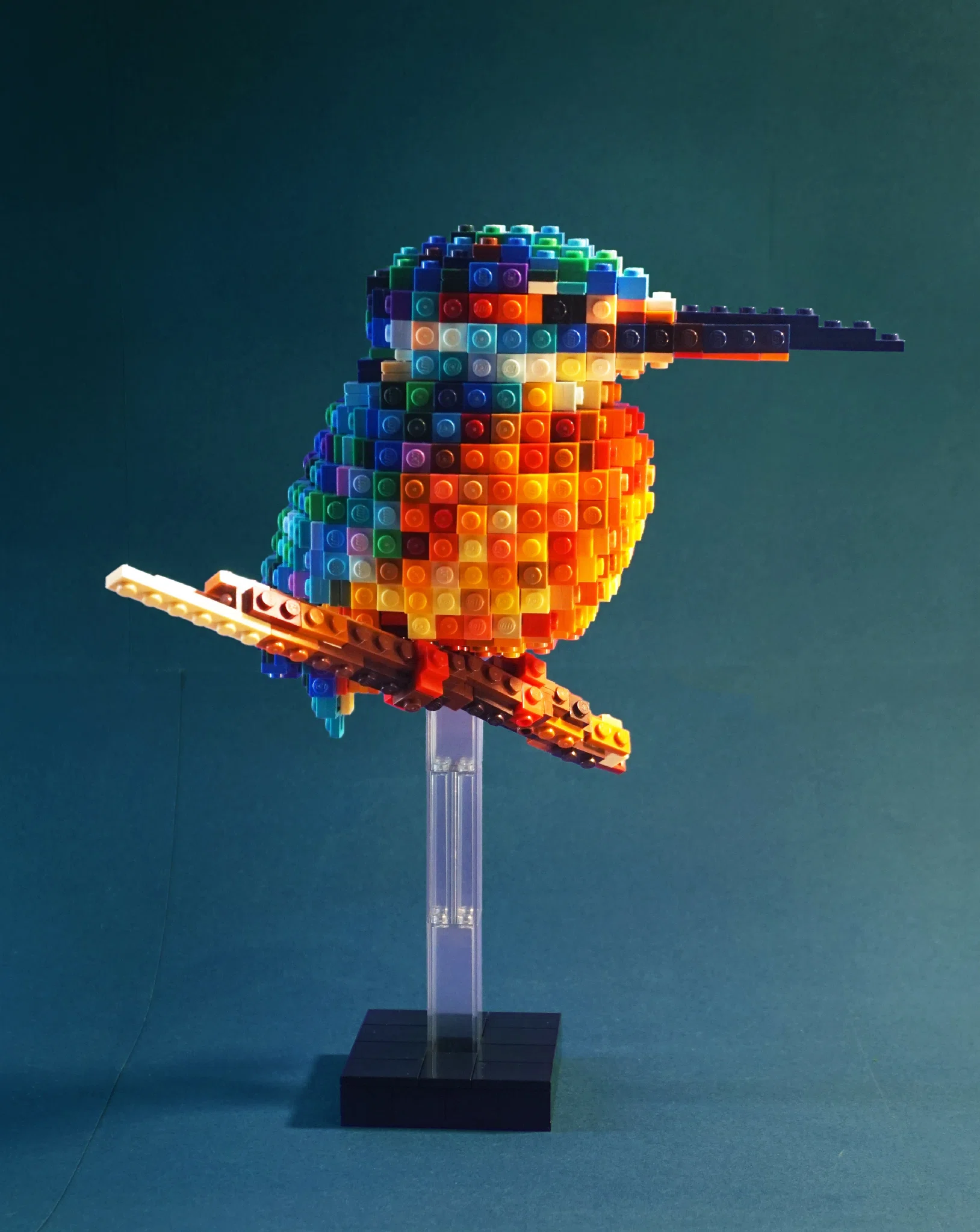 Kingfisher by Takuya Fukugawa