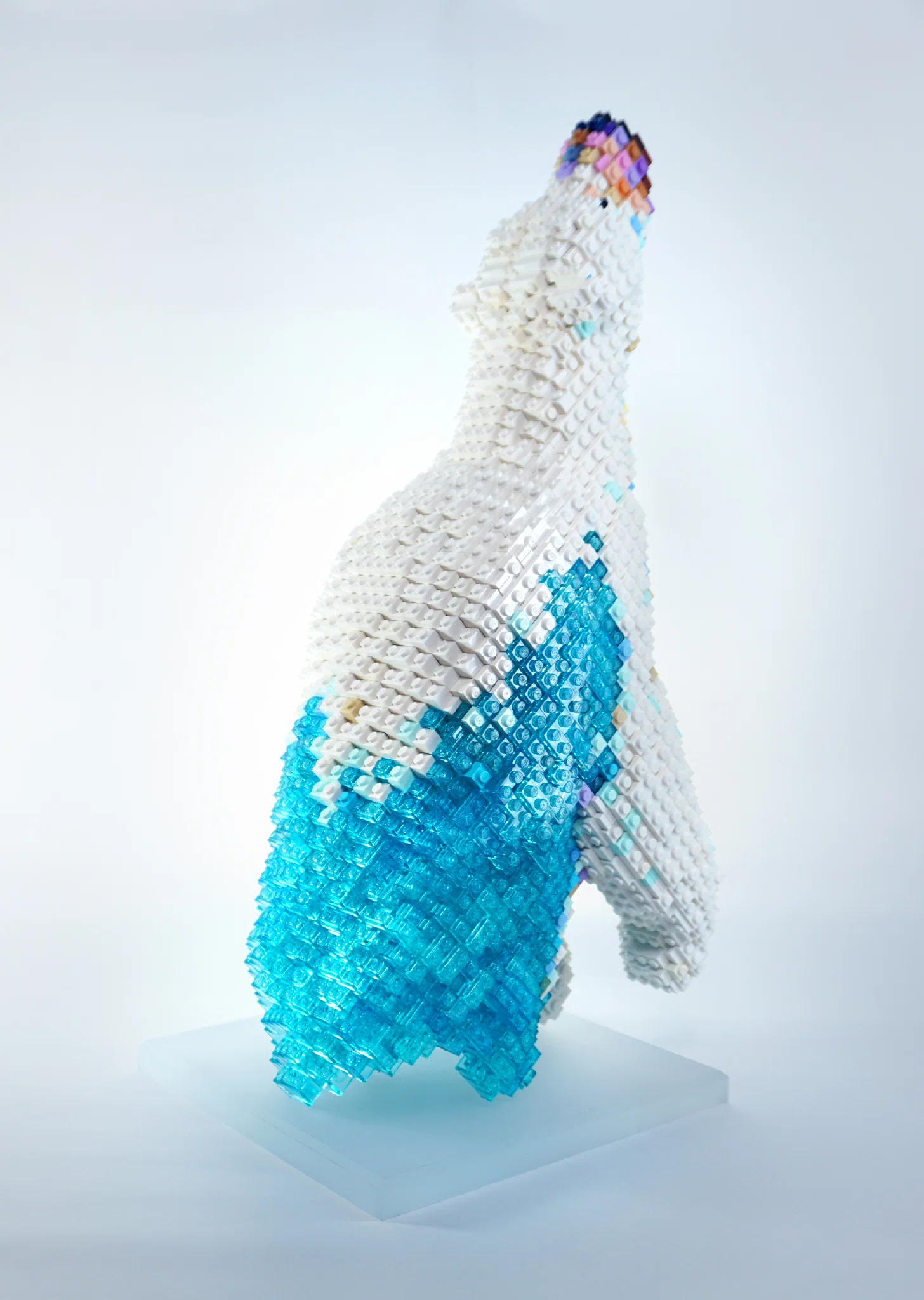 Polar bear – image 2