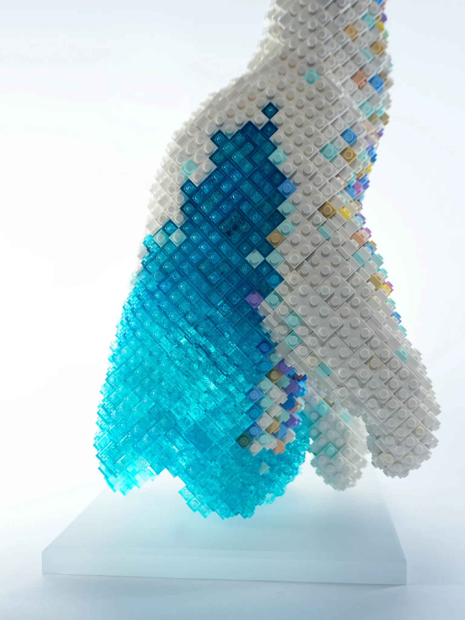 Polar bear – image 3