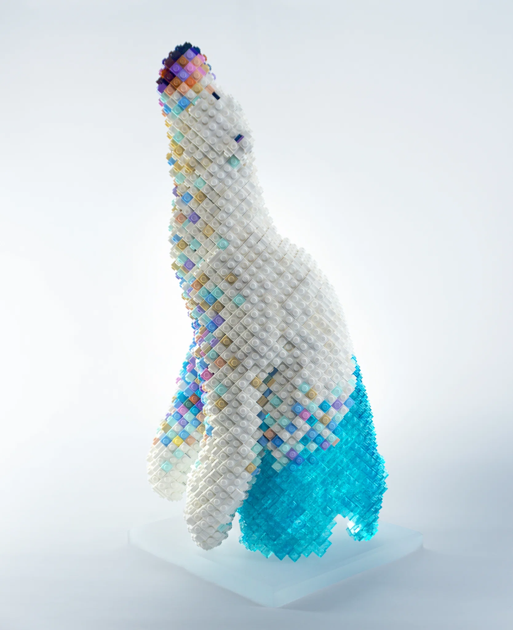 Polar bear by Takuya Fukugawa