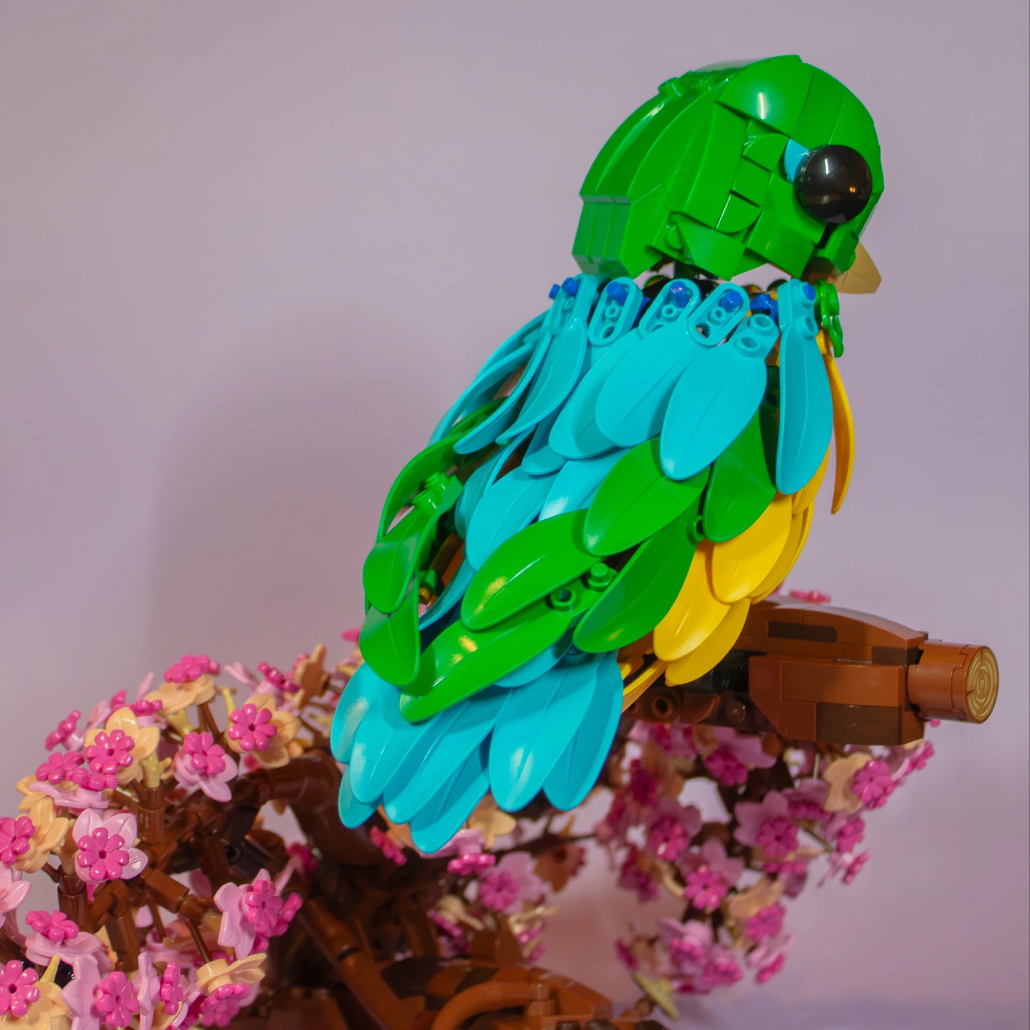 Gaturamo-bandeira (Chlorophonia cyanea) – image 3