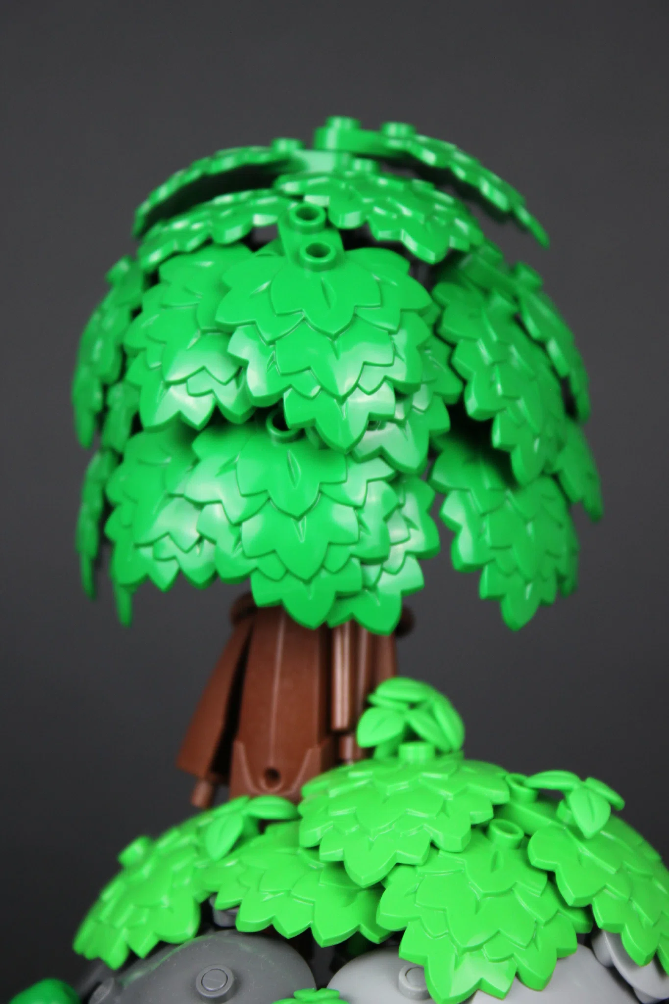 Tree in a pot – image 2