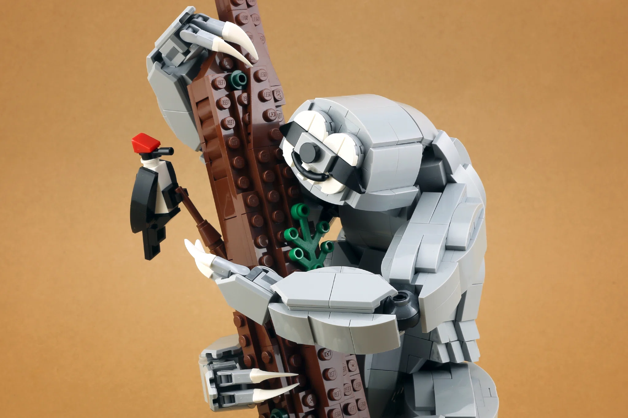 Sloth and Woodpecker – image 2